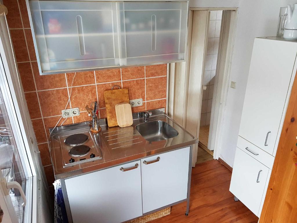 una piccola cucina con lavandino e piano cottura di Ferienhaus _Am Hexenstieg_ a Rübeland