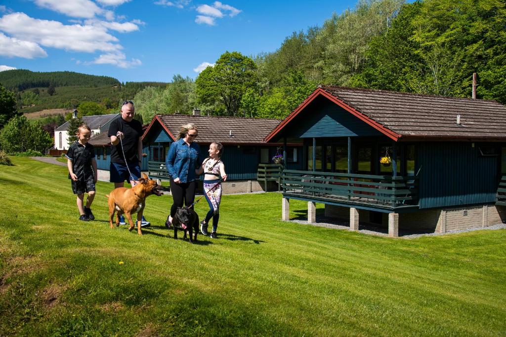 Hosté ubytování Logierait Pine Lodges