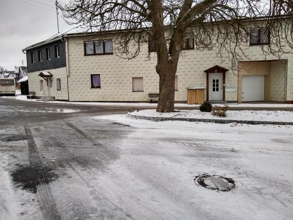 eine schneebedeckte Straße mit einem Haus und einem Baum in der Unterkunft Haus Zauberwald in Reichenbach