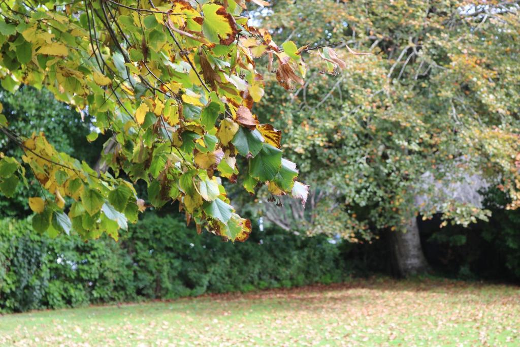 Nyima Tashi Buddhist Centre - Resim 39