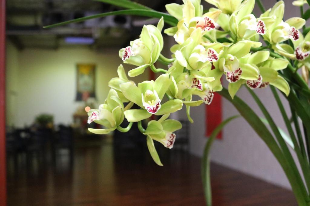 Nyima Tashi Buddhist Centre - Resim 41