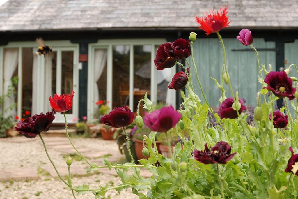 Bowgie at Trewerry Cottages - Away from it all, close to everywhere