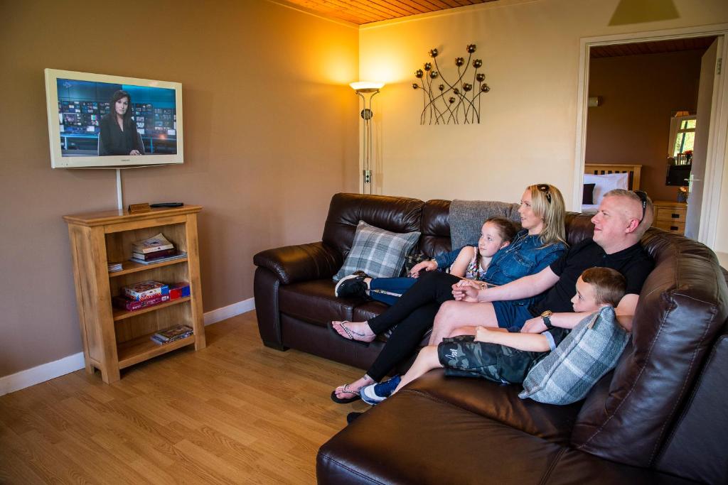 TV a/nebo společenská místnost v ubytování Logierait Pine Lodges