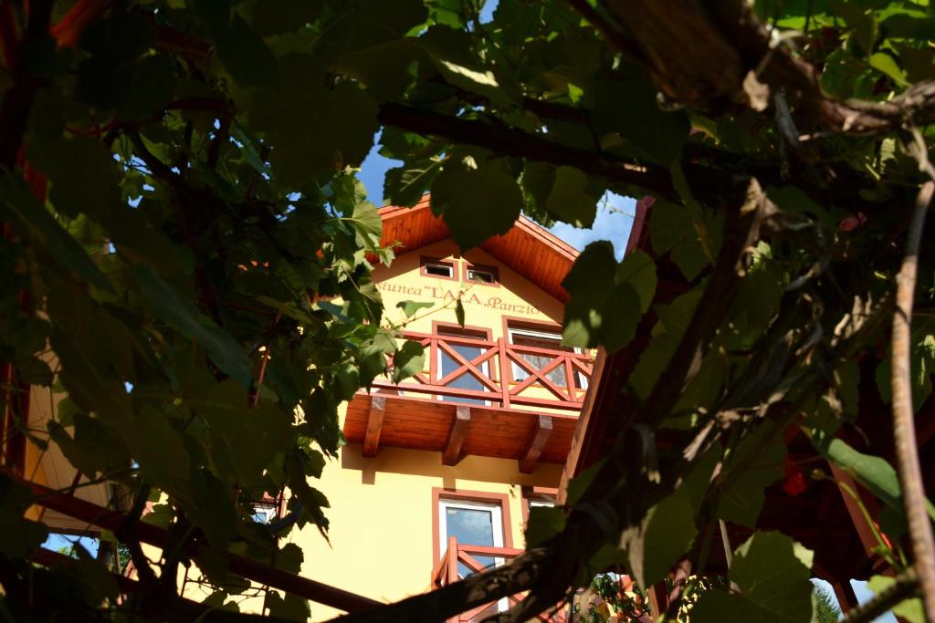 een gebouw gezien door de bladeren van bomen bij Pensiunea Lala in Băile Tuşnad