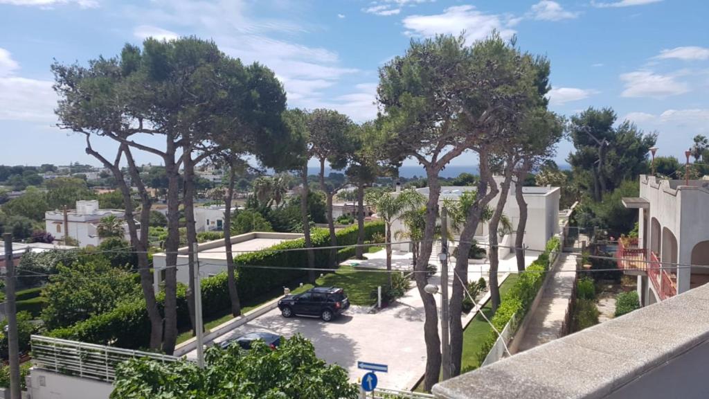 Palumbo
