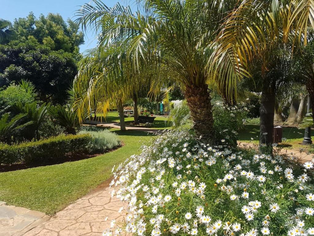 Vonkajšia záhrada v ubytovaní Marbella Puerto Banus Apartamento 2 rooms, 4 personas Bajo con jardin