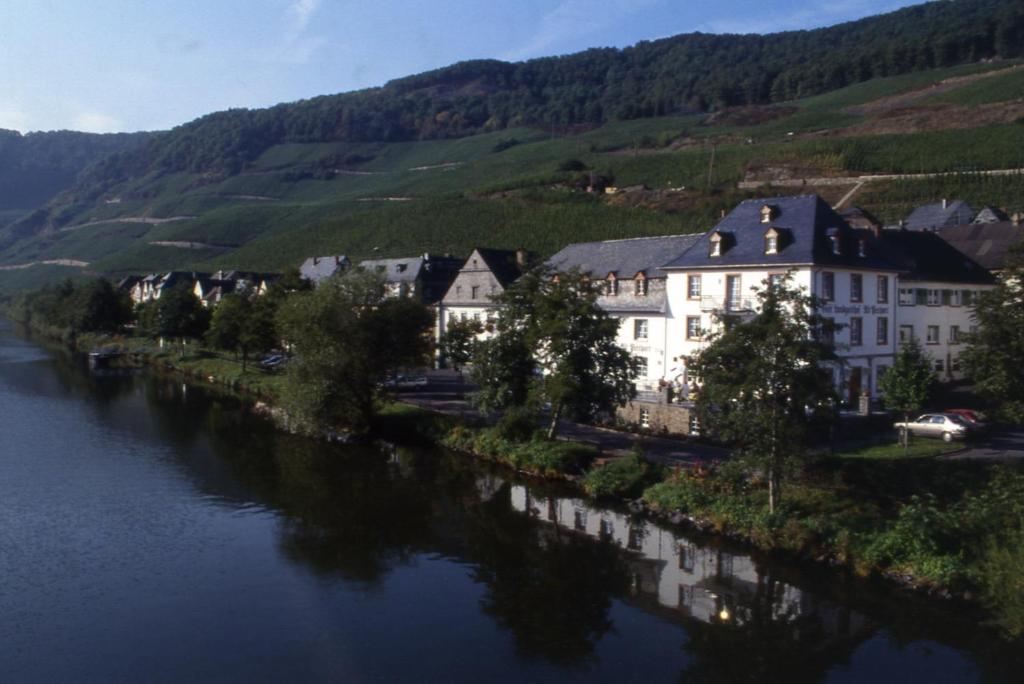 a group of buildings on the side of a river at Hotel Café Alt-Piesport in Piesport