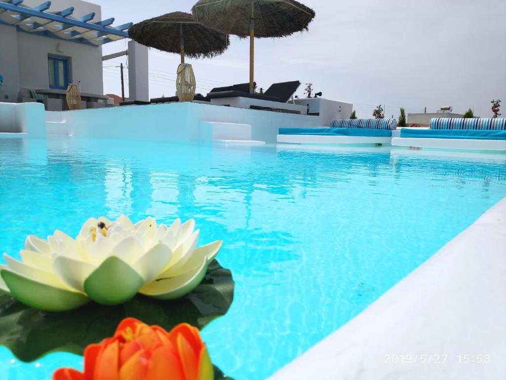 a swimming pool with a water lily in the water at Santoxenia luxury villa in Kamari