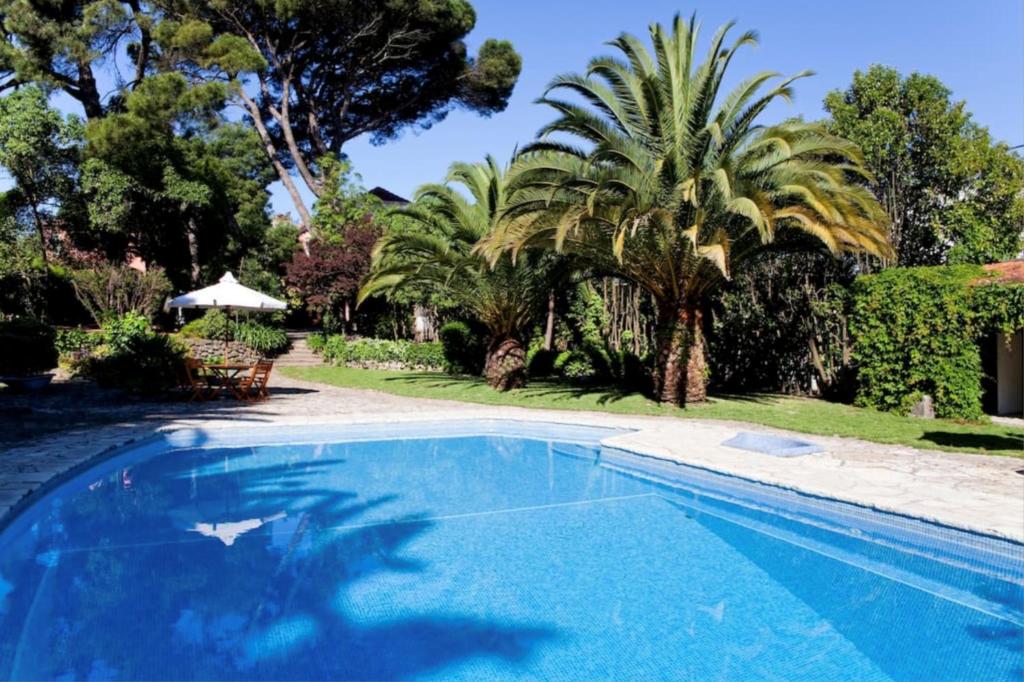 a blue swimming pool with palm trees in a yard at Akivillas Sesimbra Teltale in Sesimbra