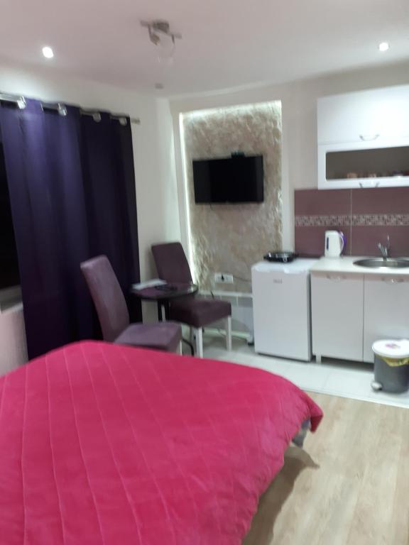 Kuchyň nebo kuchyňský kout v ubytování Golubović Apartments