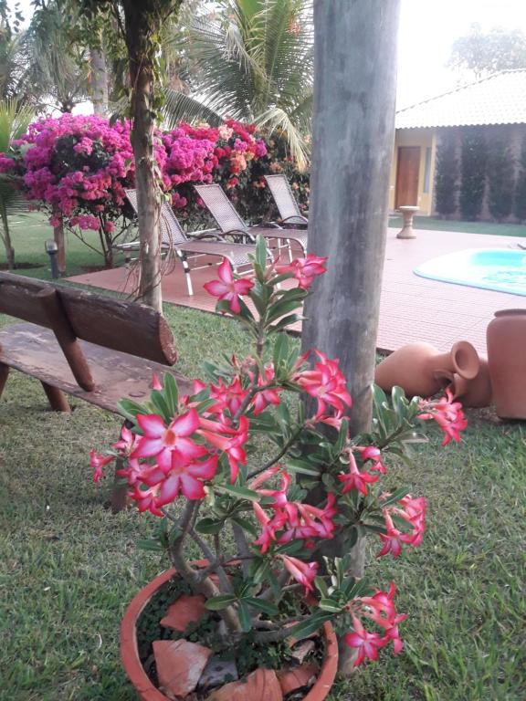  Pousada Recanto Do Sussego