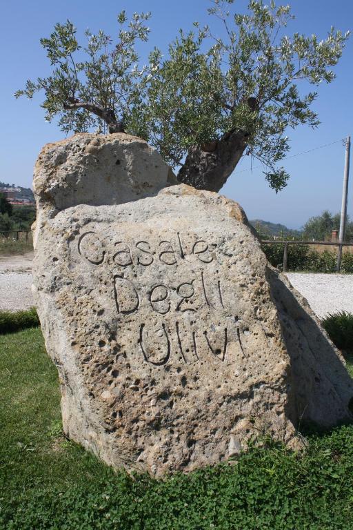 Fotografia z galérie ubytovania Casale degli Ulivi Resort v destinácii Pellare