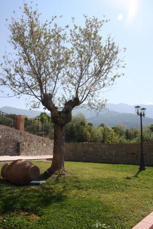 Príroda v okolí of the country house