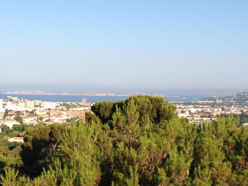 - une vue sur la ville depuis le sommet d'un arbre dans l'établissement Gîte Polema, à Marseille