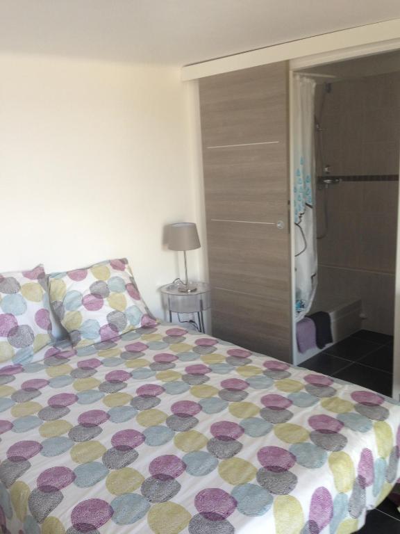 a bedroom with a bed and a walk in shower at Gîte Polema in Marseille