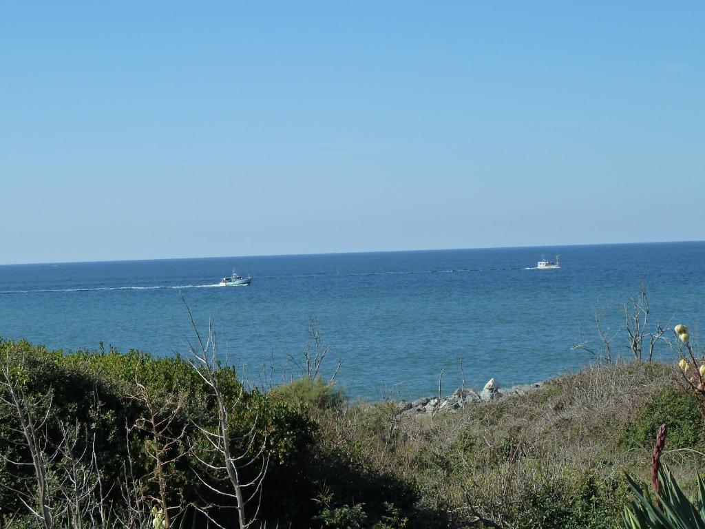 House on Atlantic Ocean on Sand Dune overlooking Beach and Ocean - Maison De Deux Chambres