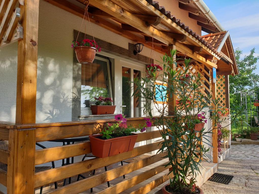 a porch of a house with potted plants on it at Apartment Liso in Seliste Dreznicko