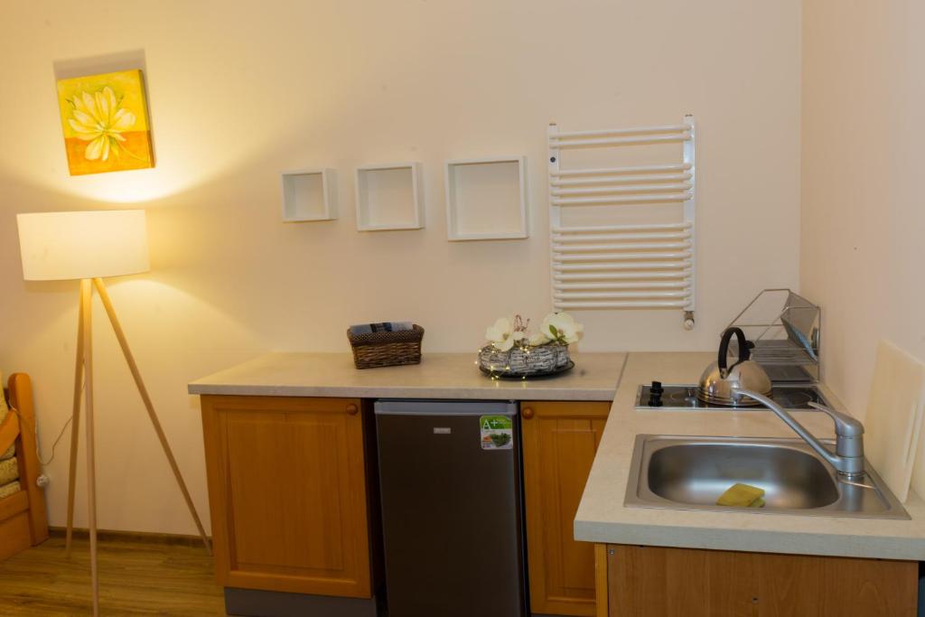 Kuchyňa alebo kuchynka v ubytovaní Apartamenty Miranda