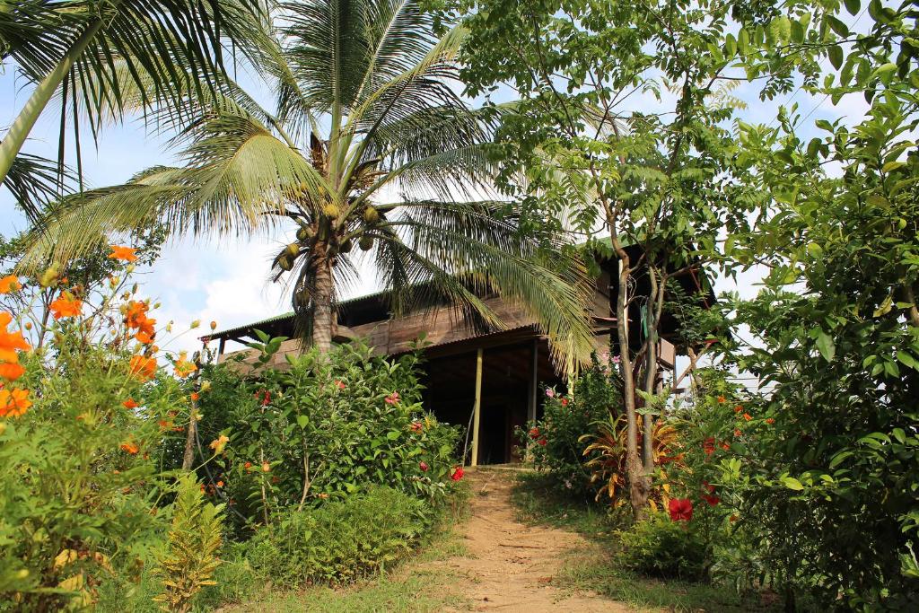 a house with a palm tree and a dirt road at Posada la Ofelia in El Zaino