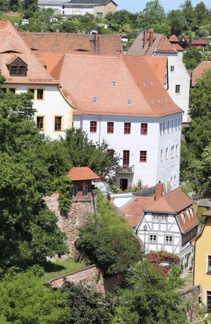 a group of buildings on a hill with trees at Domblick an der Freiheit in Meißen