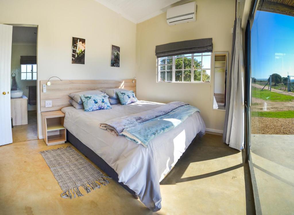 a bedroom with a large bed with blue pillows at Addo Park Vista in Addo