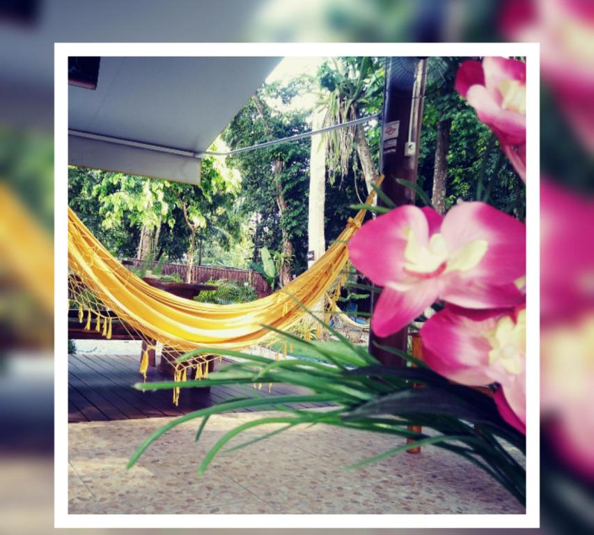 a yellow hammock with pink flowers in front of it at Nalu Guest House in Ubatuba