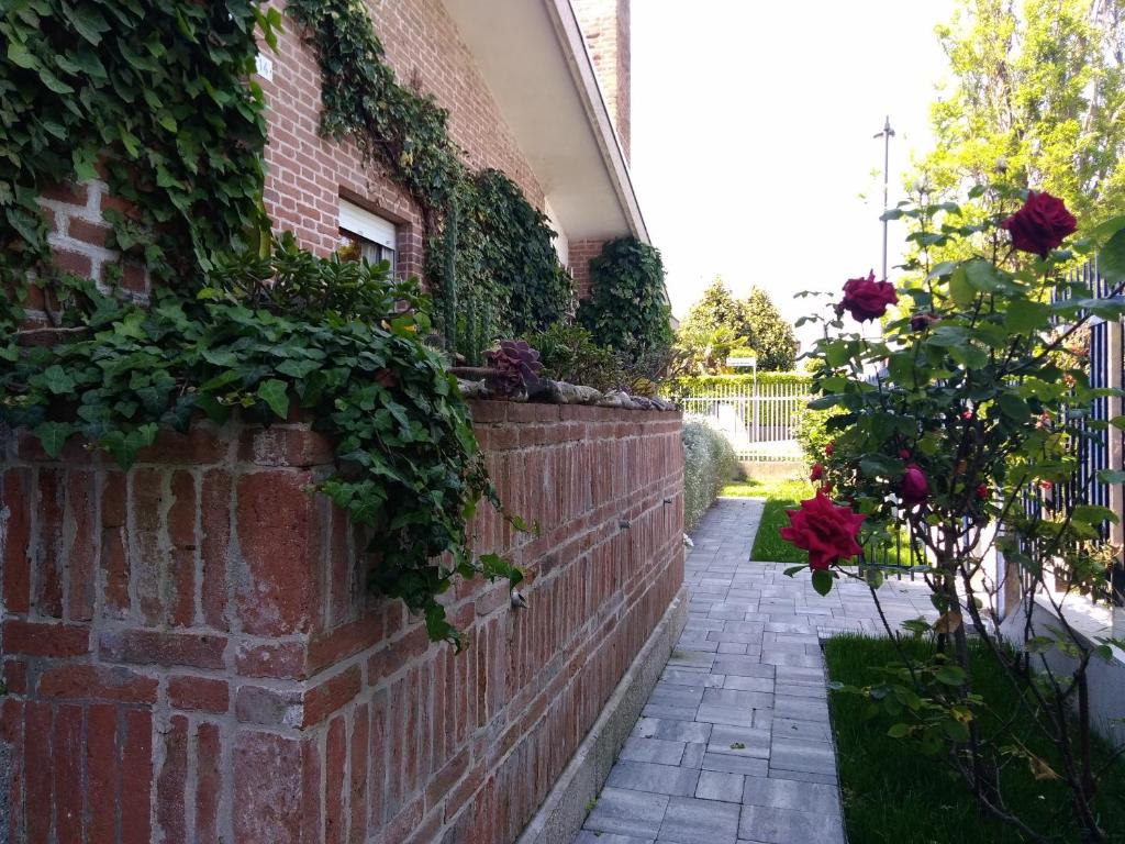 Vonkajšia záhrada v ubytovaní B&B and Sail