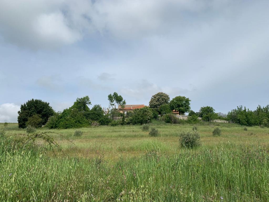 un champ d'herbe haute avec une maison en arrière-plan dans l'établissement Domaine le Commandaire, à Roumoules