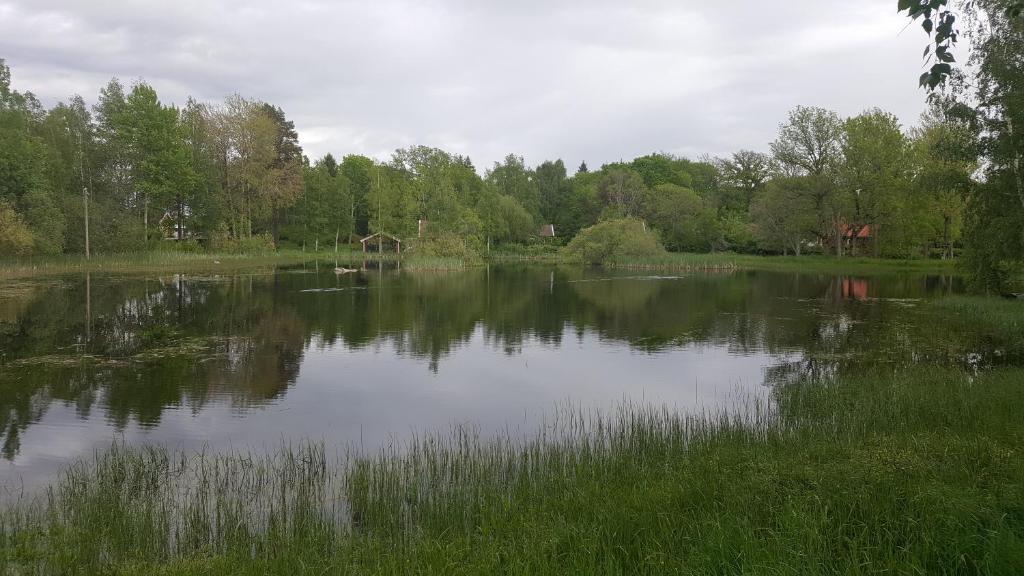 Výhled na jezero nedaleko penzionu