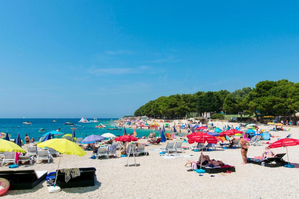 Príroda v okolí apartmánu