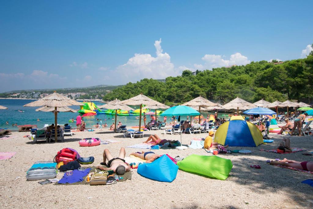 Príroda v okolí apartmánu