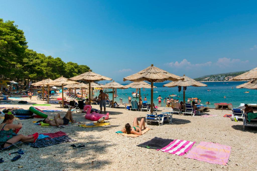 Príroda v okolí apartmánu