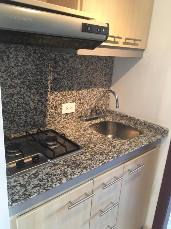 Kuchyň nebo kuchyňský kout v ubytování Suites Parque Real