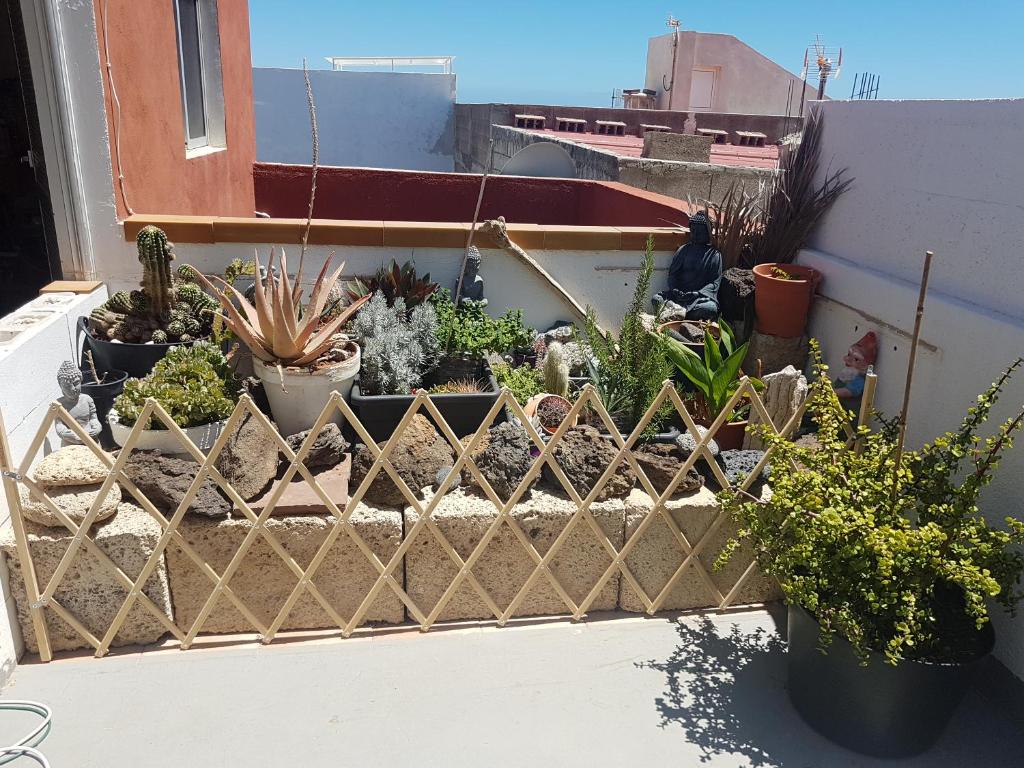 Fotografie z fotogalerie ubytování B&B La Caleta Zimmer 3 v destinaci La Mareta