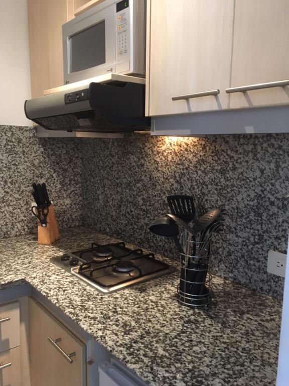 Kuchyň nebo kuchyňský kout v ubytování Suites Parque Real