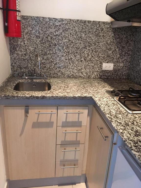 Kuchyň nebo kuchyňský kout v ubytování Suites Parque Real