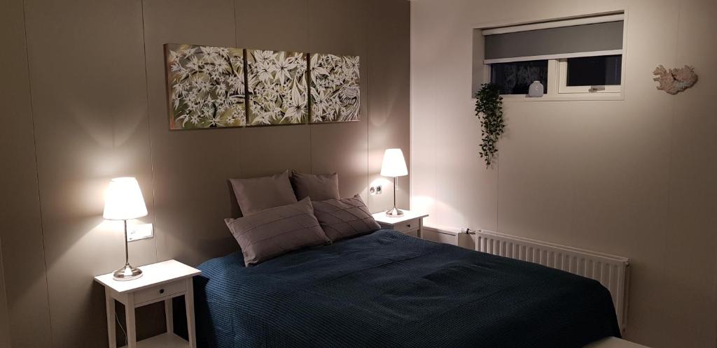 sypialnia z niebieskim łóżkiem i 2 szafkami nocnymi w obiekcie Gunnlaugsgata 3 w mieście Borgarnes