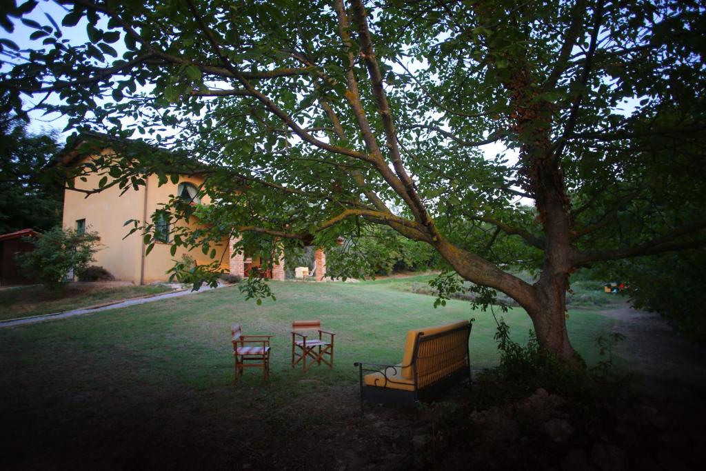 Zahrada ubytování Ecolodge Langhe