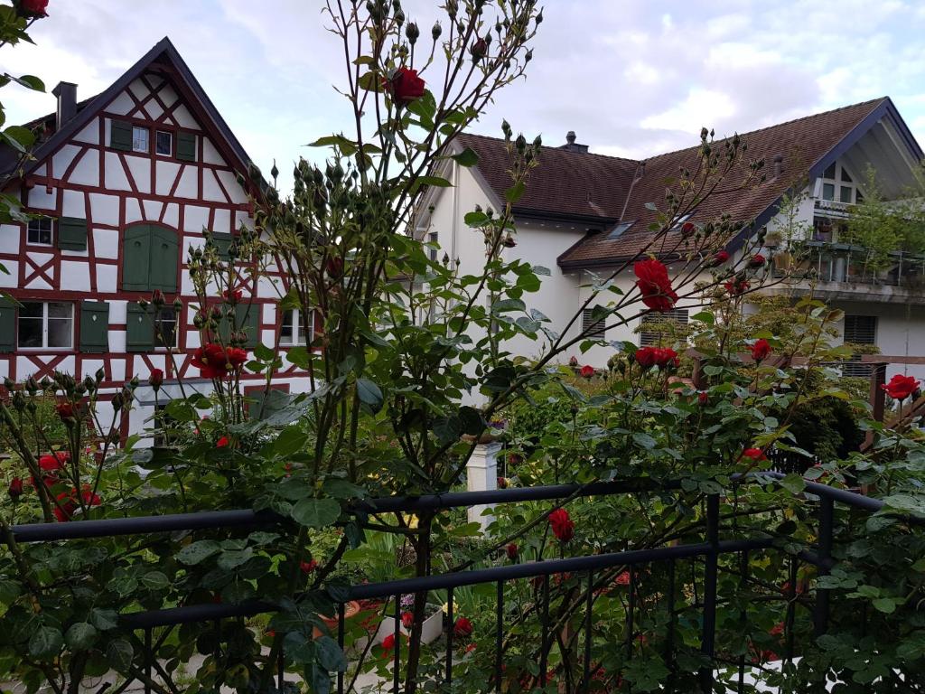 Zahrada ubytování Garni-Hotel Mühletal