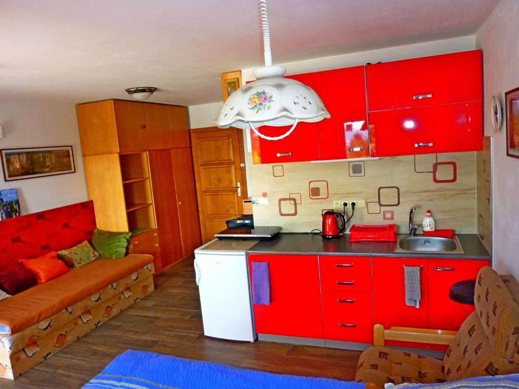 Kuchyň nebo kuchyňský kout v ubytování Apartman Aradise