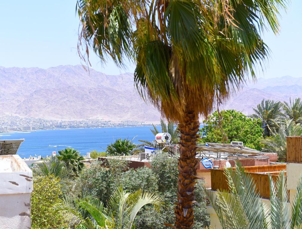 a palm tree with a view of the ocean at Sweet Home, Only 7 Min to the beach - By SEAELO EILAT in Eilat