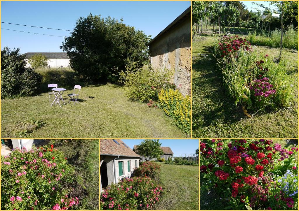 a collage of photos of a garden with flowers at Maison proche circuit 24h du Mans in Louplande
