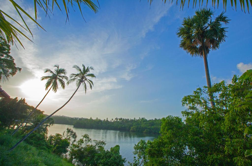 a view of a river with palm trees at Tri by Amaya in Ahangama