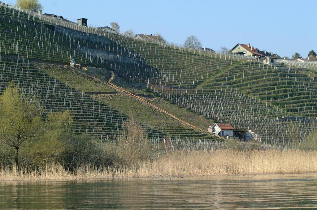Paesaggio naturale nelle vicinanze dell'appartamento