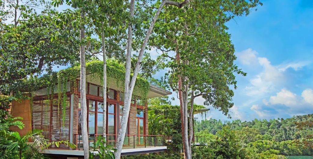 a tree house in the middle of trees at Tri by Amaya in Ahangama