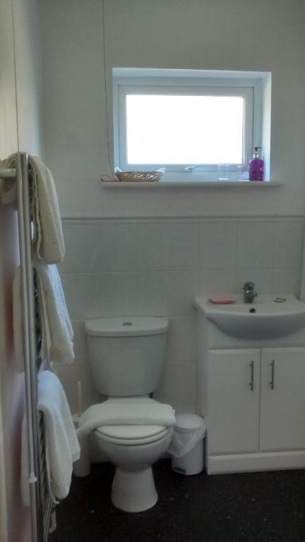 a bathroom with a white toilet and a sink at Lewinsdale Lodge in Weston-super-Mare