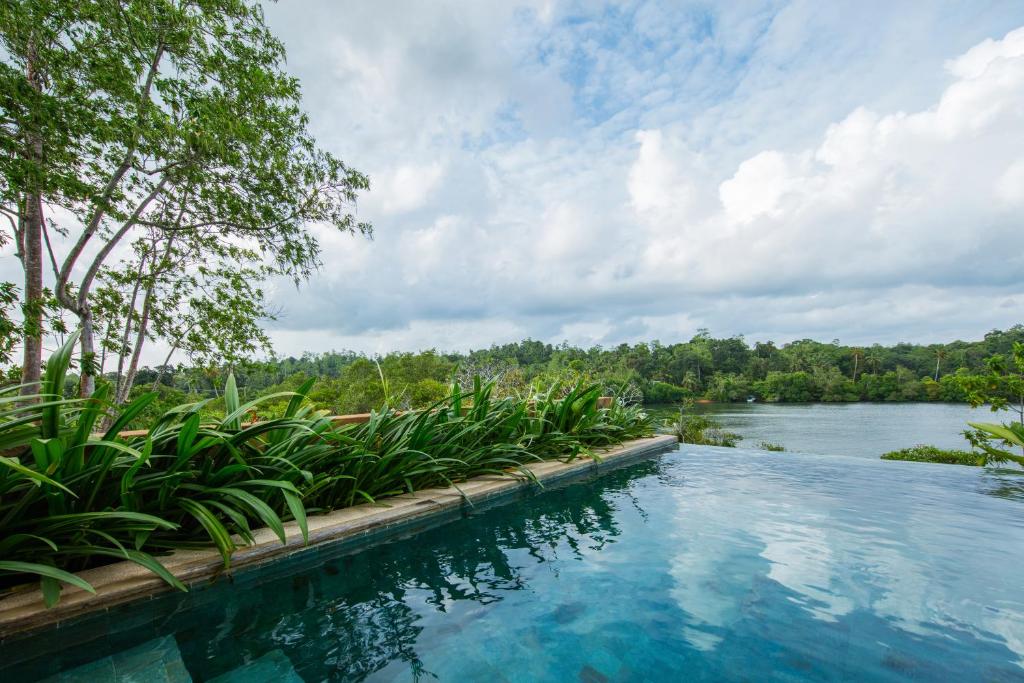a swimming pool next to a river with trees at Tri by Amaya in Ahangama