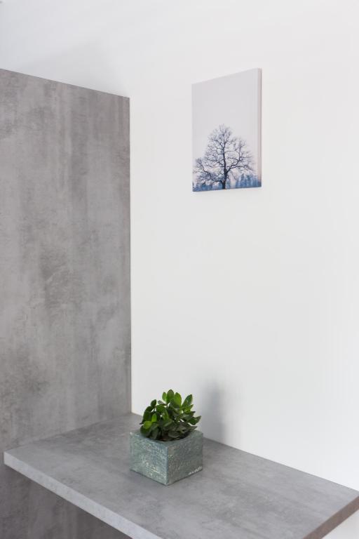 12 Reasons Why Metaxourgeio - Resim 25