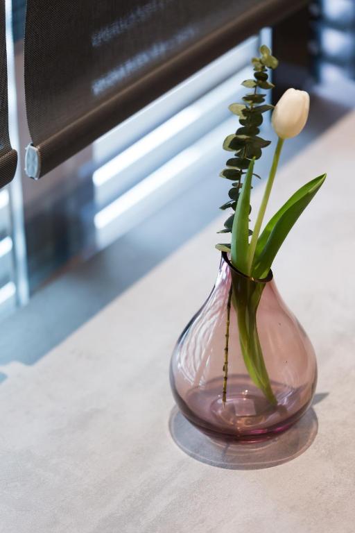 12 Reasons Why Metaxourgeio - Resim 21