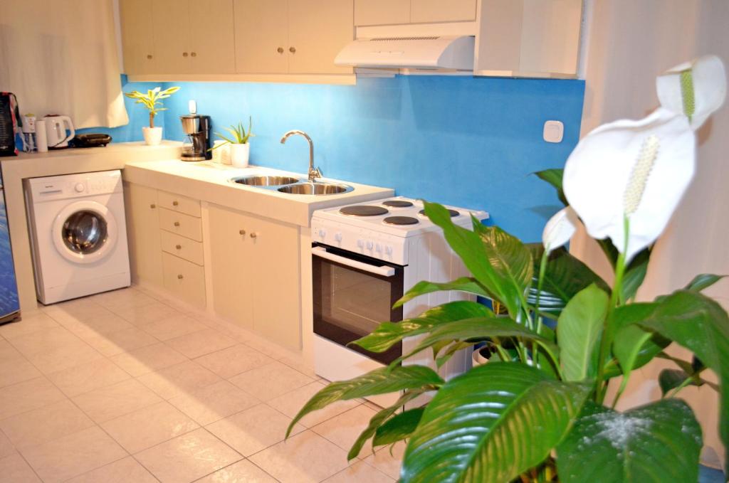 Kuchyň nebo kuchyňský kout v ubytování Aloe house Lakithra